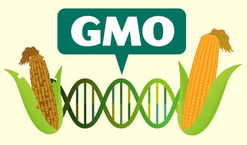 croplife-korea-gmo-5